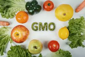 Apa itu GMO (Genetically Modified Organisms)?